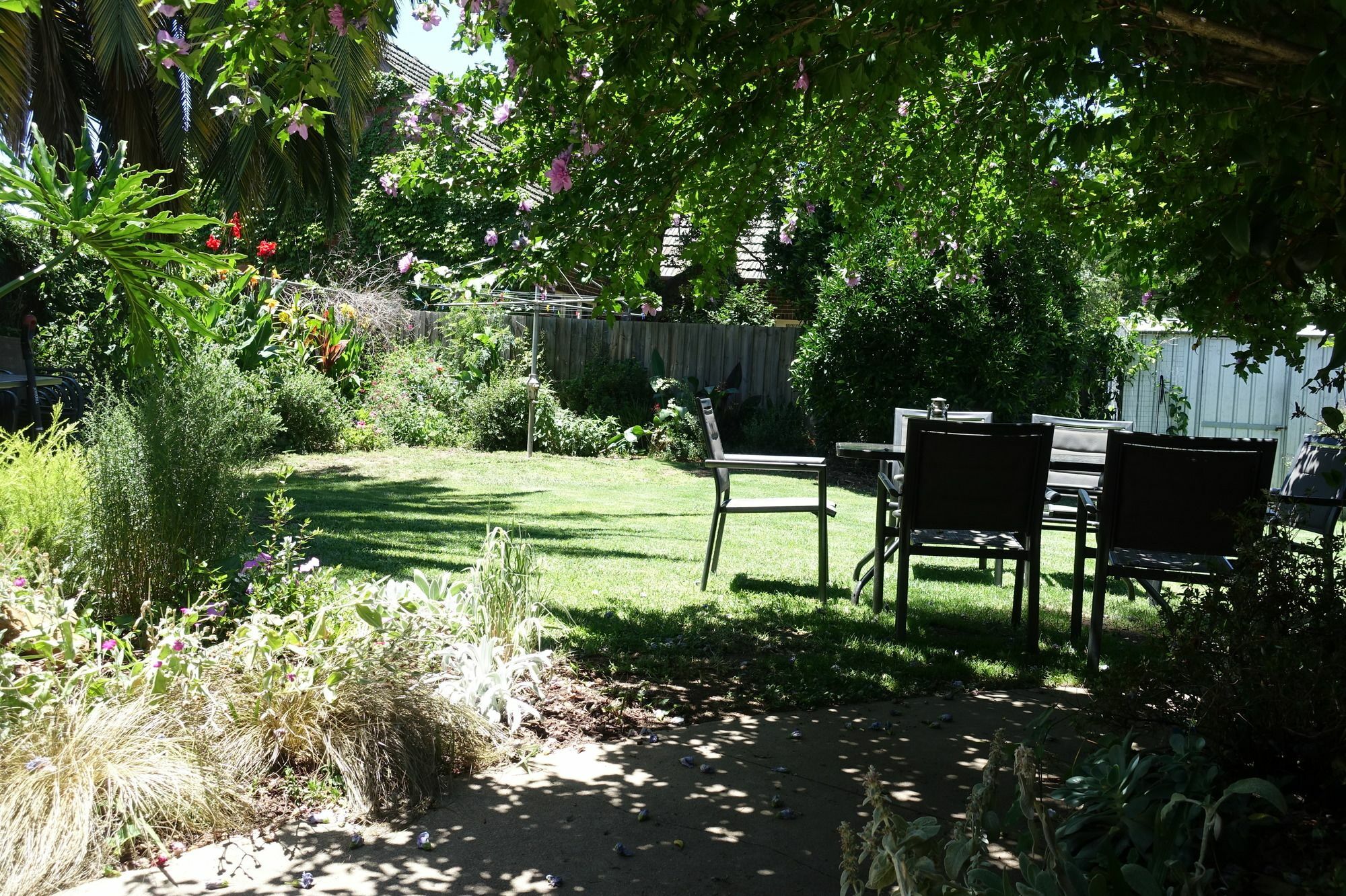 Benson House & Benson Lodge Benalla Exterior foto